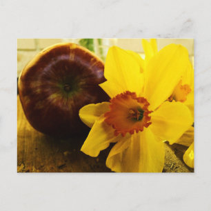 Carte postale Daffodique et Apple