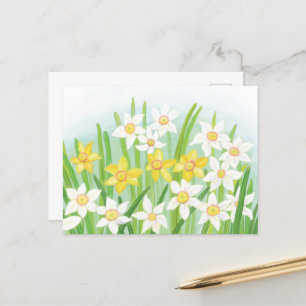 Carte Postale Daffodiques de printemps