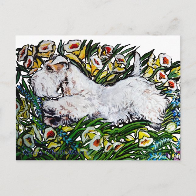Carte Postale Daffodiques de Sealyham Terrier (Devant)