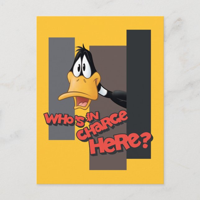 Carte Postale DAFFY DUCK™ "Qui est responsable ici" (Devant)