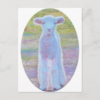 Carte postale d'agneau