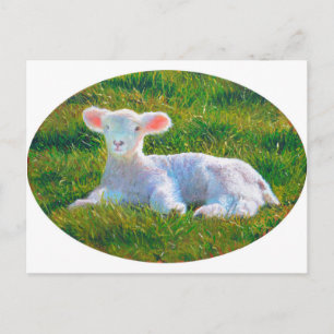 Carte postale d'agneau