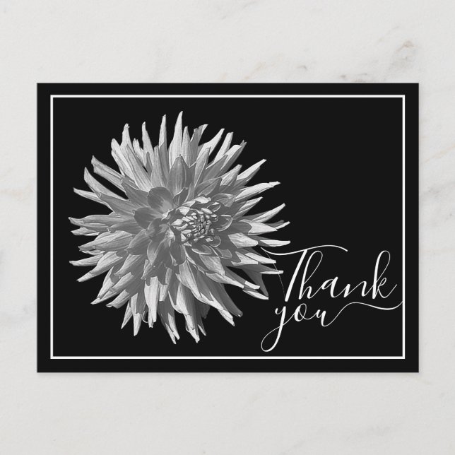 Carte Postale Dahlia Cactus Noir et Blanc Fond Noir Merci (Devant)