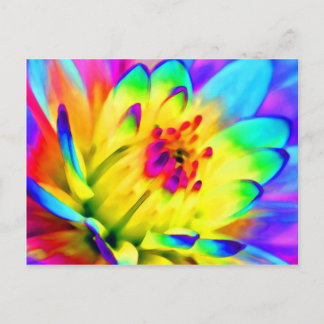 Carte Postale dahlia colorée