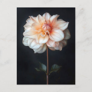 Carte Postale Dahlia dans la peinture botanique en fleurs
