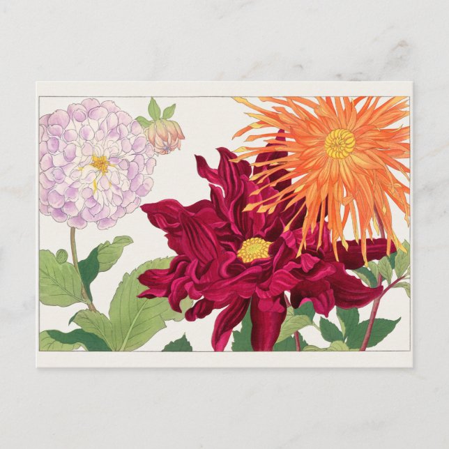 Carte Postale Dahlia par Tanigami Konan (Devant)