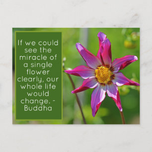 Carte Postale Dahlia rose et violet fleur Inspiration Postca