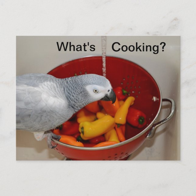 Carte postale d'aide à la cuisine de Cuisine gris  (Devant)