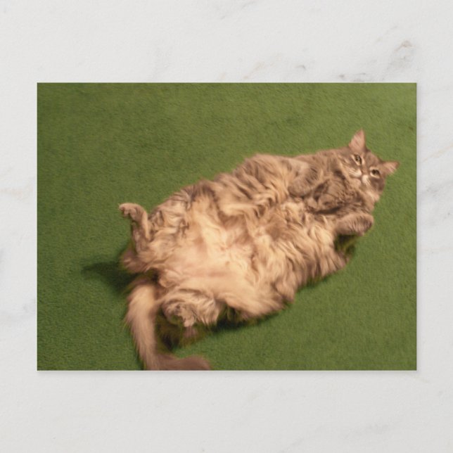 Carte Postale Daily Kitty Yoga de Fille Smoochie (Devant)
