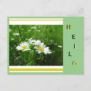 Carte Postale Daisies Fleurs Sauvages Collage Cust. Bonjour cart