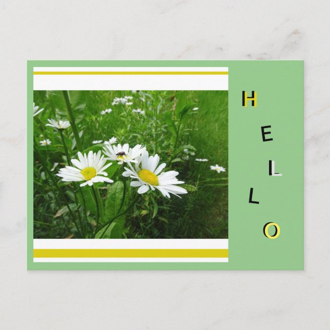 Carte Postale Daisies Fleurs Sauvages Collage Cust. Bonjour cart (Devant)