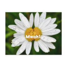 Daisy Baisers Anniversaire Saint Valentin Amour Ca