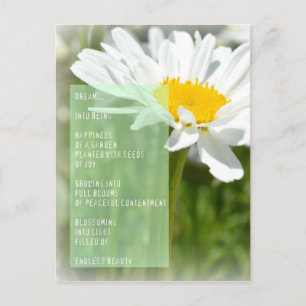 Carte Postale Daisy Dream Poem Inspiration Post Card