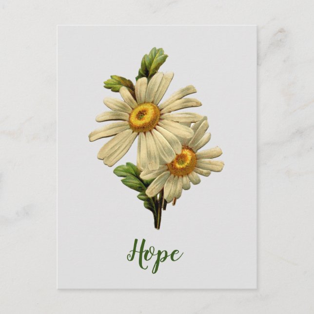 Carte Postale Daisy Hope Inspirationnel (Devant)