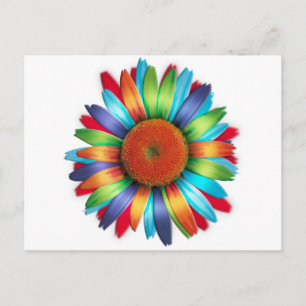 Carte Postale Daisy multicolore