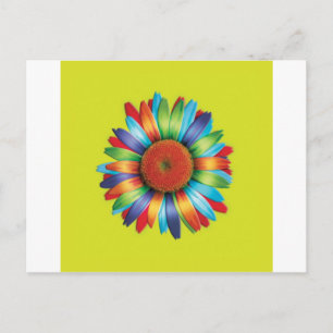 Carte Postale Daisy multicolore