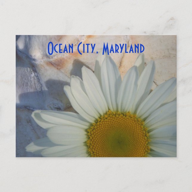 Carte postale Daisy Ocean City (Devant)