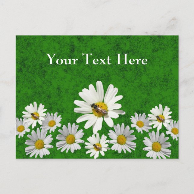 Carte Postale Daisy postcard template (Devant)