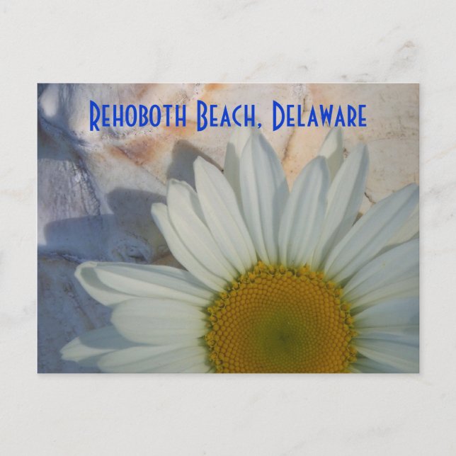 Carte postale Daisy Rehoboth Beach (Devant)