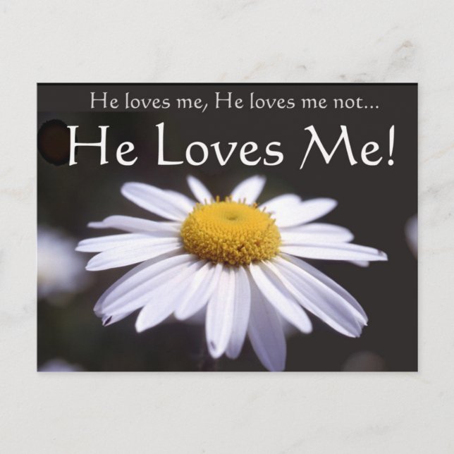 Carte Postale Daisy sur l'Arrière - plan noir (Devant)