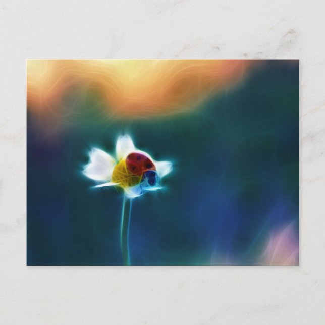 Carte Postale Daisybug (Devant)