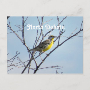 Carte Postale Dakota du Nord