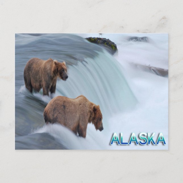 Carte postale d'Alaska (Devant)