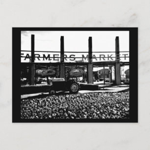 Carte postale-Dallas Photographie-12