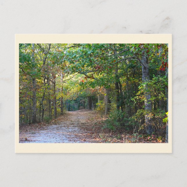 Carte postale d'allée de parc (Devant)