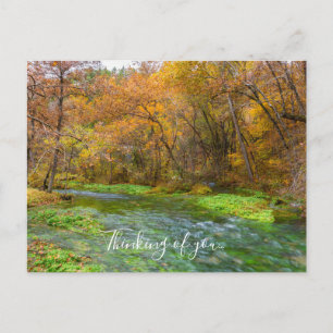 Carte postale d'Alley Spring Automne Eau Pensées p