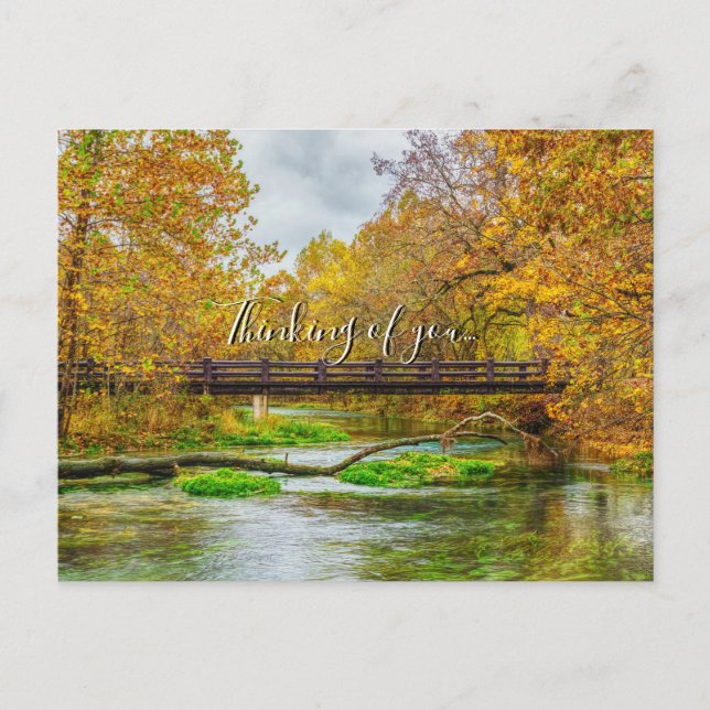 Carte postale d'Alley Spring River Thinking Of You (Devant)
