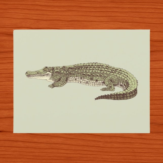 Carte postale d'alligator (Créateur téléchargé)