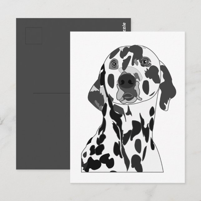 Carte Postale Dalmatien  (Devant / Derrière)