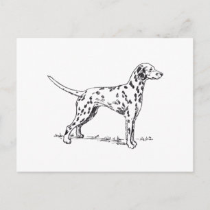 Carte Postale Dalmatien