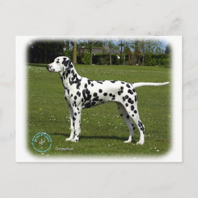 Carte Postale Dalmatien 9T085D-119 (Devant)