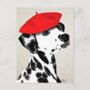 Carte Postale Dalmatien Avec Beret Rouge