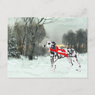 Carte Postale Dalmatien dans la neige d'hiver