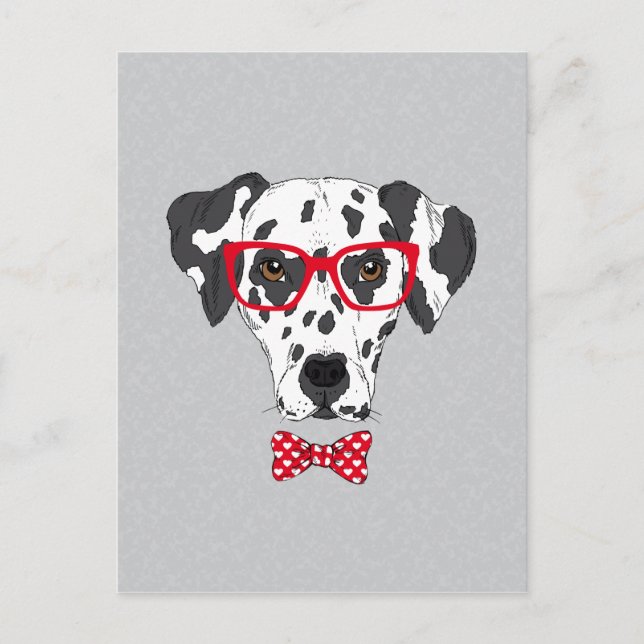 Carte Postale Dalmatien fashionable (Devant)