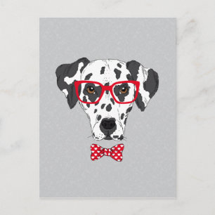 Carte Postale Dalmatien fashionable