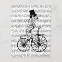 Dalmatien sur vélo 2