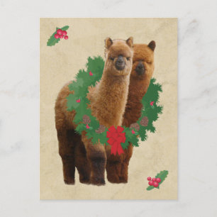Carte postale d'Alpaca Christmas