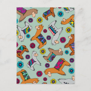 Carte postale d'alpaga