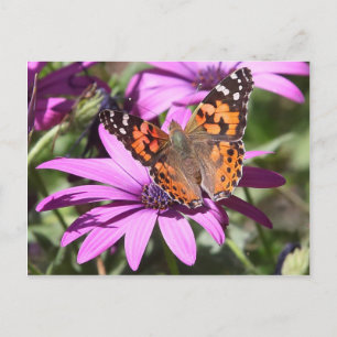 Carte Postale Dame peinte
