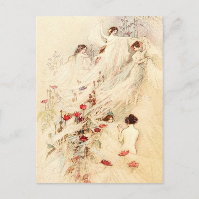 Carte Postale Dames rassemblant gossamer pour robes (Devant)