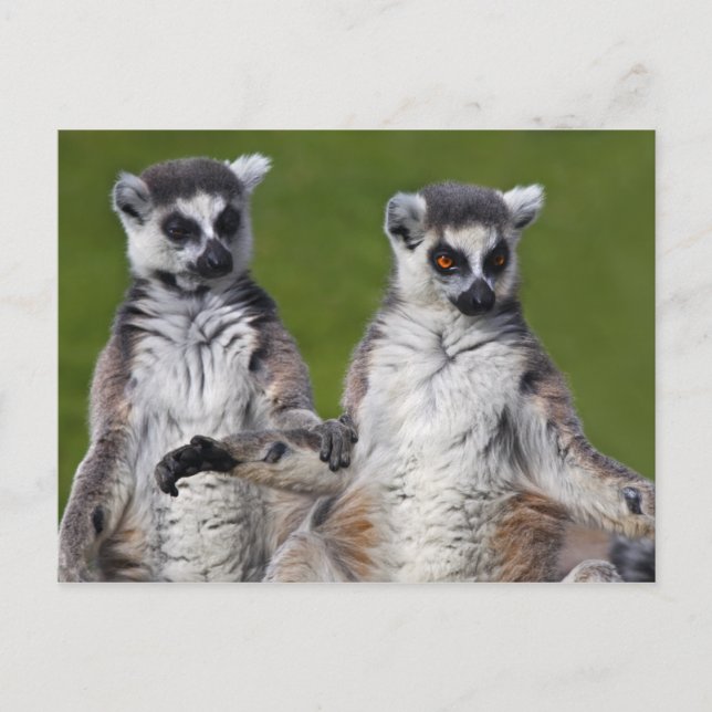 Carte postale d'amis (Devant)