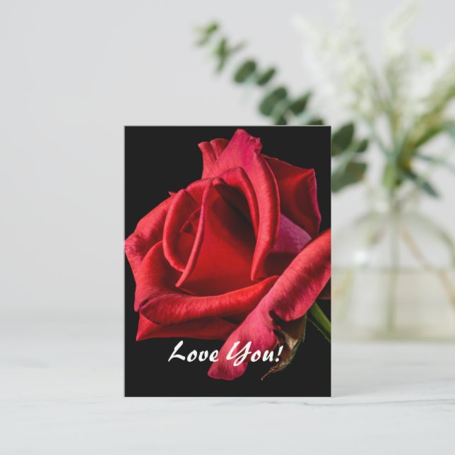 Carte postale d'amour (Debout devant)