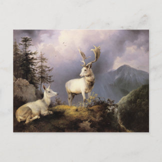 Carte Postale Damwild, Friedrich Gauermann, 1833