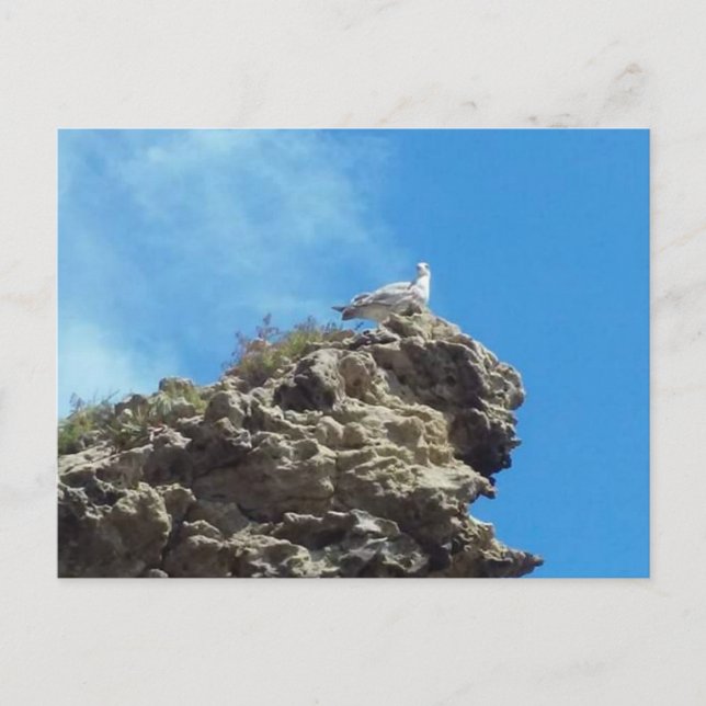 CARTE POSTALE DANA POINT #3 (Devant)