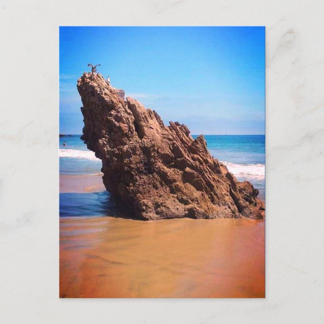 CARTE POSTALE DANA PONIT #1 (Devant)