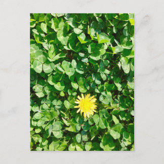 Carte Postale dandelion